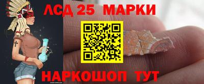 эйфоретик Малгобек