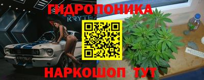 эйфоретик Малгобек