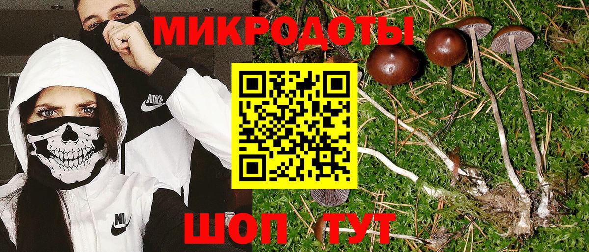 Элиста  Псилоцибиновые грибы мицелий  Галлюциногенные грибы Psilocybine cubensis  купить  цена  Вход с VPN 